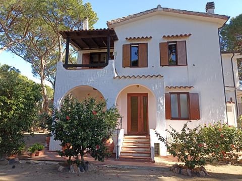 Property building, Garden view