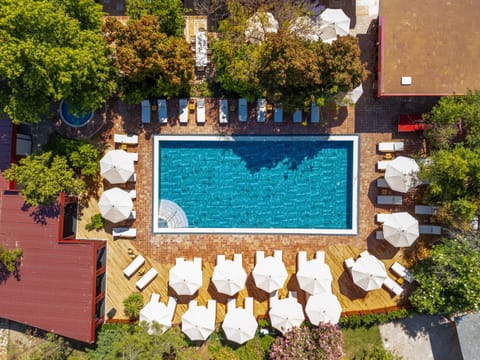 Property building, Day, Bird's eye view, Garden, Garden view, Pool view, Swimming pool, sunbed