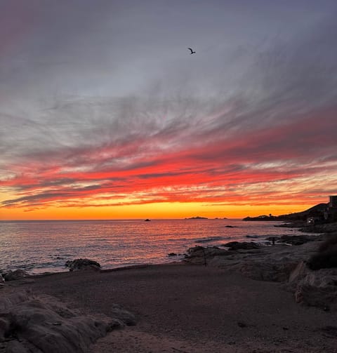 Beach, Sunset