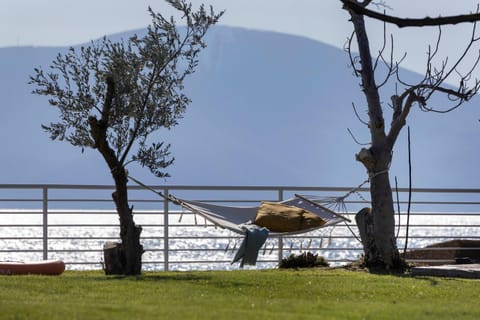 Natural landscape, Garden, Mountain view