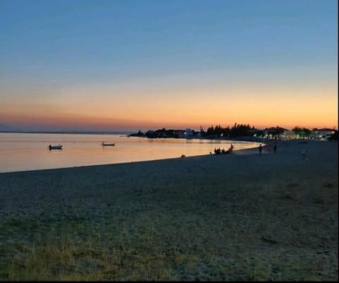 'Sunny Apartment' Gerakini Beach, Halkidiki House in Halkidiki