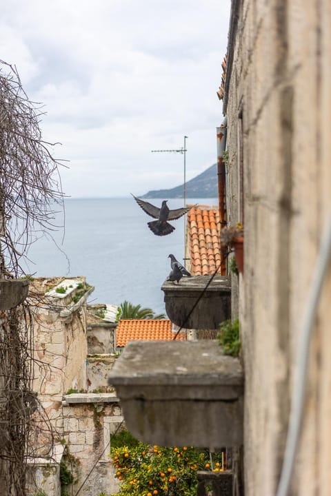 Day, Natural landscape, Sea view