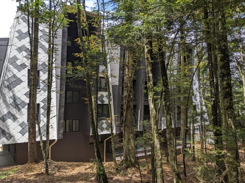 Property building, Natural landscape