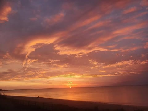 Natural landscape, Beach, Sunset