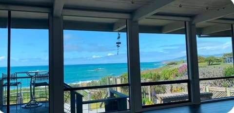 Bodega Bay Magical Ocean Front w/Amazing View! House in Sonoma County