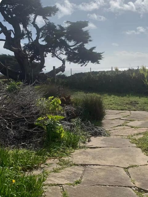 Bodega Bay Magical Ocean Front w/Amazing View! House in Sonoma County