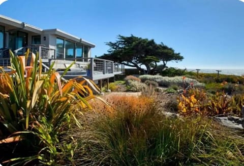 Bodega Bay Magical Ocean Front w/Amazing View! House in Sonoma County