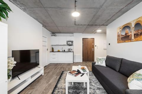 TV and multimedia, Kitchen or kitchenette, Living room, Seating area, minibar, stove