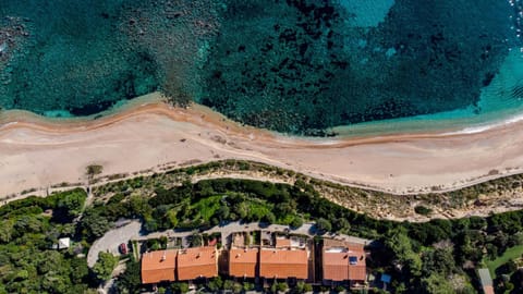 Natural landscape, Bird's eye view