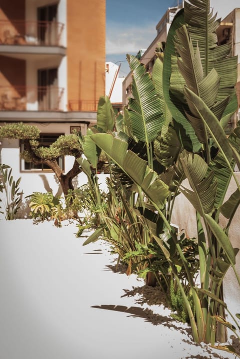 Garden, Swimming pool