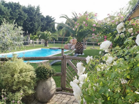 Spring, Garden, Garden view, Pool view, Swimming pool