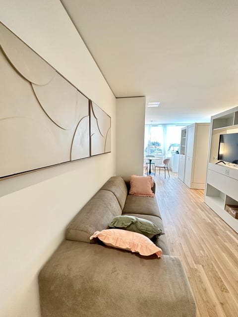 MydiHei @ Rhyfall Towers Apartment in Schaffhausen, Switzerland