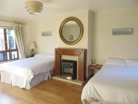 Borodino Studio Apartment Apartment in Ireland