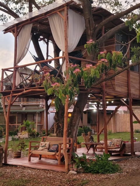 Property building, Garden