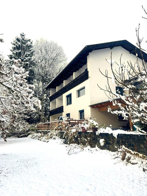 Property building, Winter, Garden, Seasons