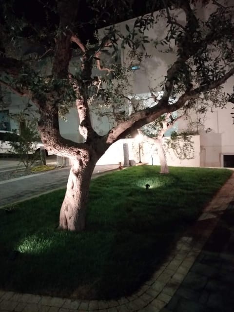 I Cinque Ulivi Apartment in Province of Taranto