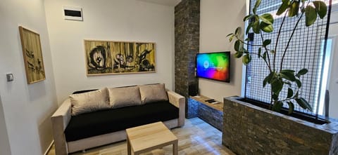 Sen's Studio Apartment in Serbia