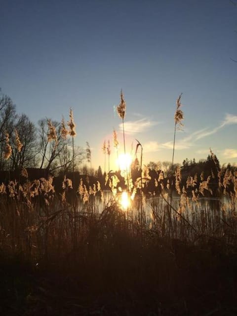 Bibernest House in Mecklenburgische Seenplatte