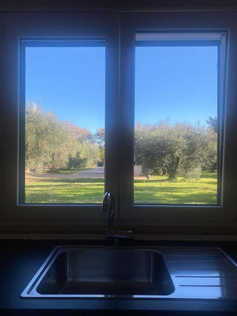 Day, Natural landscape, Garden, Kitchen or kitchenette