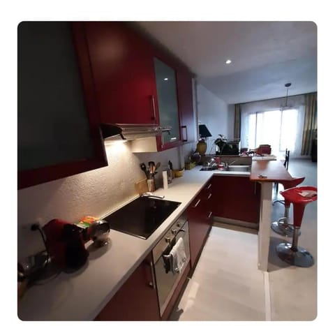 Les carlins Vacation rental in Nice