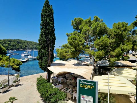 Floret Apartment Apartment in Cavtat