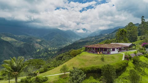 Property building, Bird's eye view