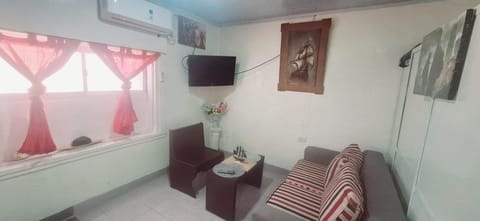 TV and multimedia, Living room, Seating area, air conditioner