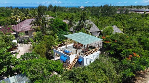 Natural landscape, Bird's eye view, Garden, Sea view