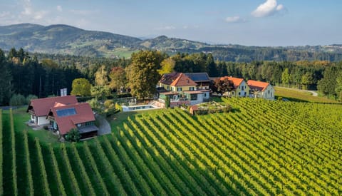Property building, Bird's eye view