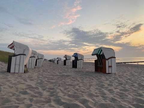 der Strandkater OG DG Priemer GM 69667 Apartment in Graal-Müritz