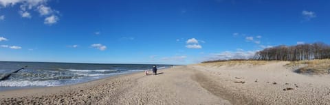 Ferienhaus am Strand GM 69668 House in Graal-Müritz
