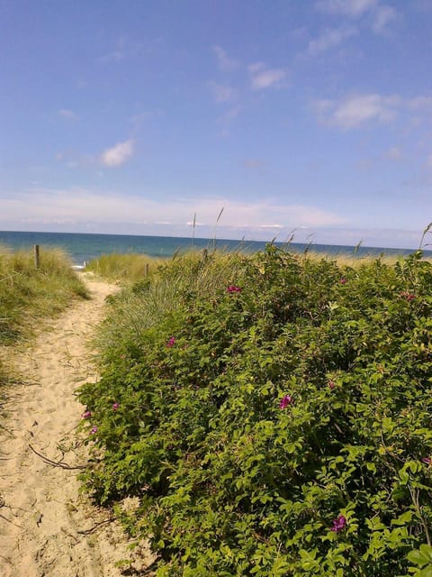 Ferienhaus am Strand GM 69668 House in Graal-Müritz