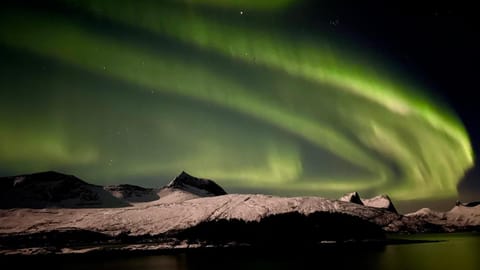 Efjord and Stetind Resort - Cabin Kulhorn Cabin in Nordland, Norway
