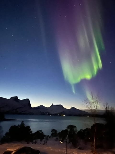 Efjord and Stetind Resort - Cabin Kulhorn Cabin in Nordland, Norway