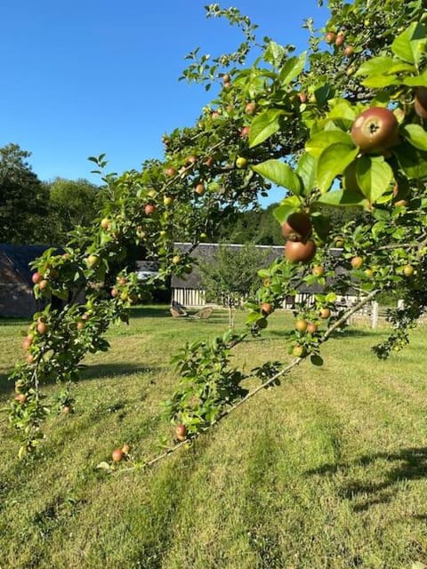 Manoir de la Jaunière maison de charme Pays d’Auge House in Normandy