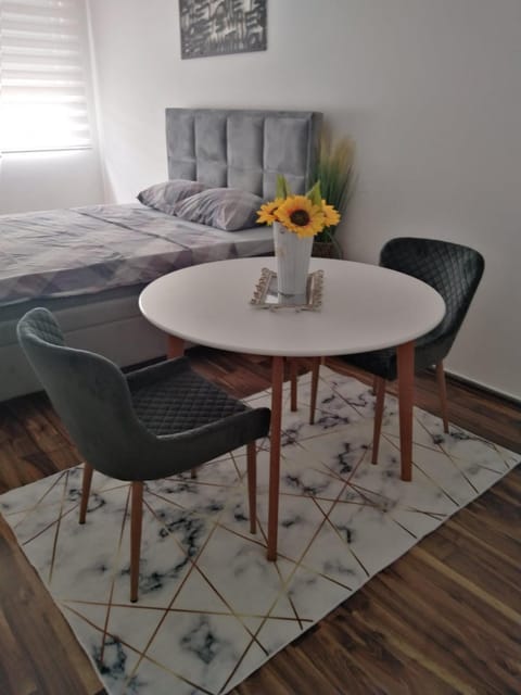 Babuska studio Apartment in Serbia