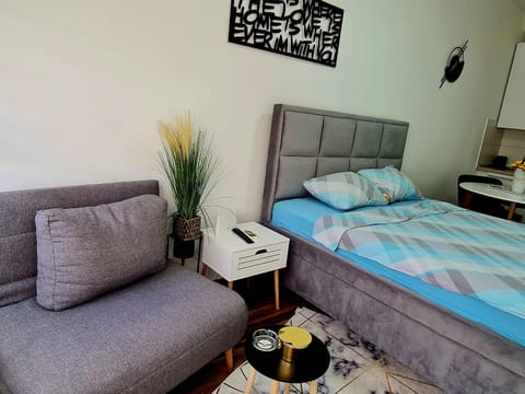 Babuska studio Apartment in Serbia