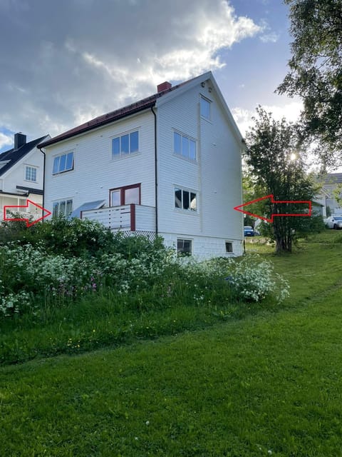 Property building, Day, Garden