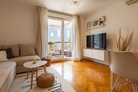 TV and multimedia, Living room, Seating area, air conditioner