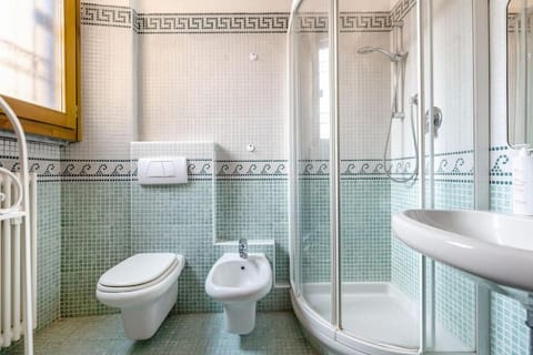 Shower, Toilet, Bathroom, bidet