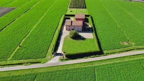 Spring, Natural landscape, Bird's eye view