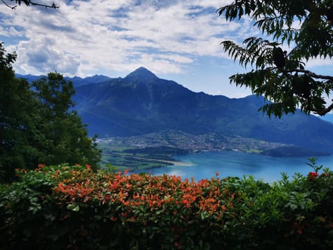 Lake view, Mountain view