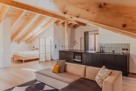 Kitchen or kitchenette, Living room, Photo of the whole room