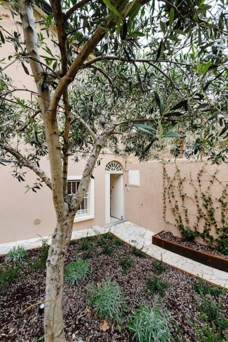 Property building, Garden, Garden view