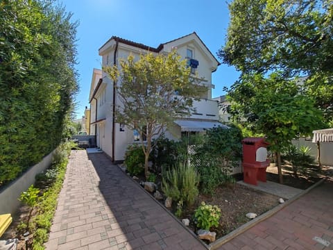 Property building, Day, Garden