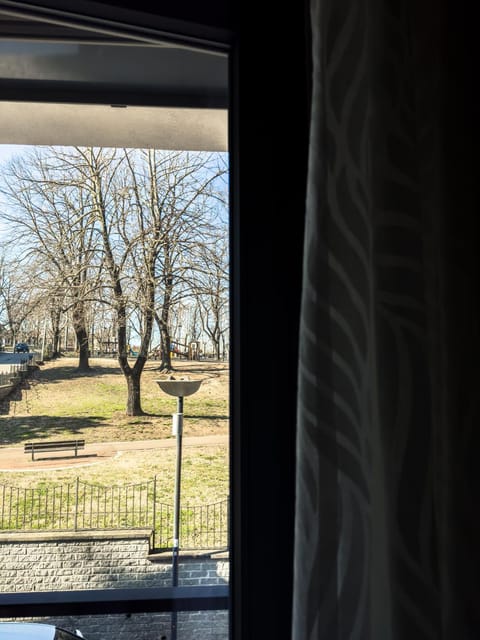 Natural landscape, Garden view