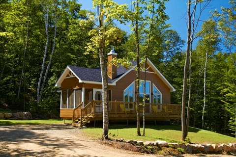 Property building, Day, Garden