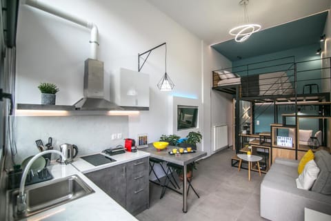 Meteora Loft Apartments 1 Apartment in Kalabaka