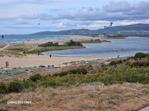 Nearby landmark, Beach, Sea view