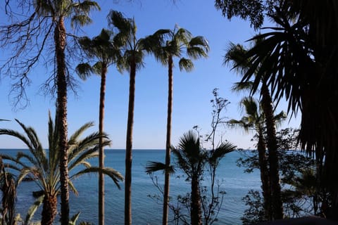 Day, Beach